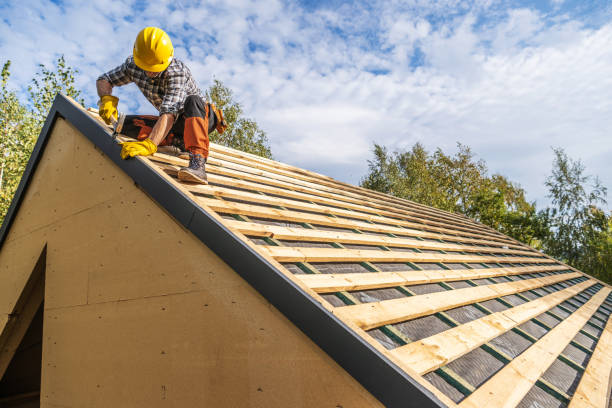 Best Roof Gutter Cleaning  in Sauk City, WI